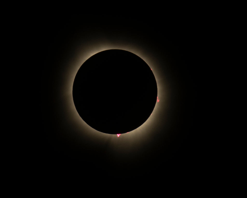 2024 Solar Eclipse Totality