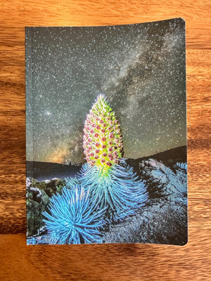 Photo Journal- Silversword