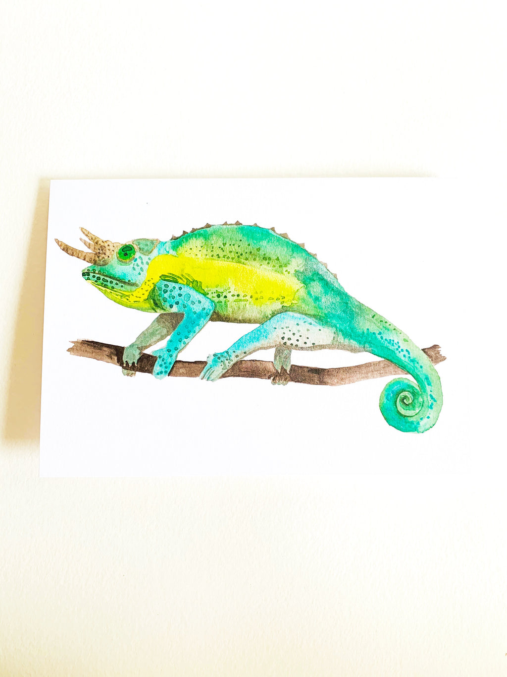 Jackson Chameleon Notecard