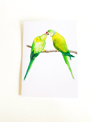 Ring Neck Parakeet Notecard