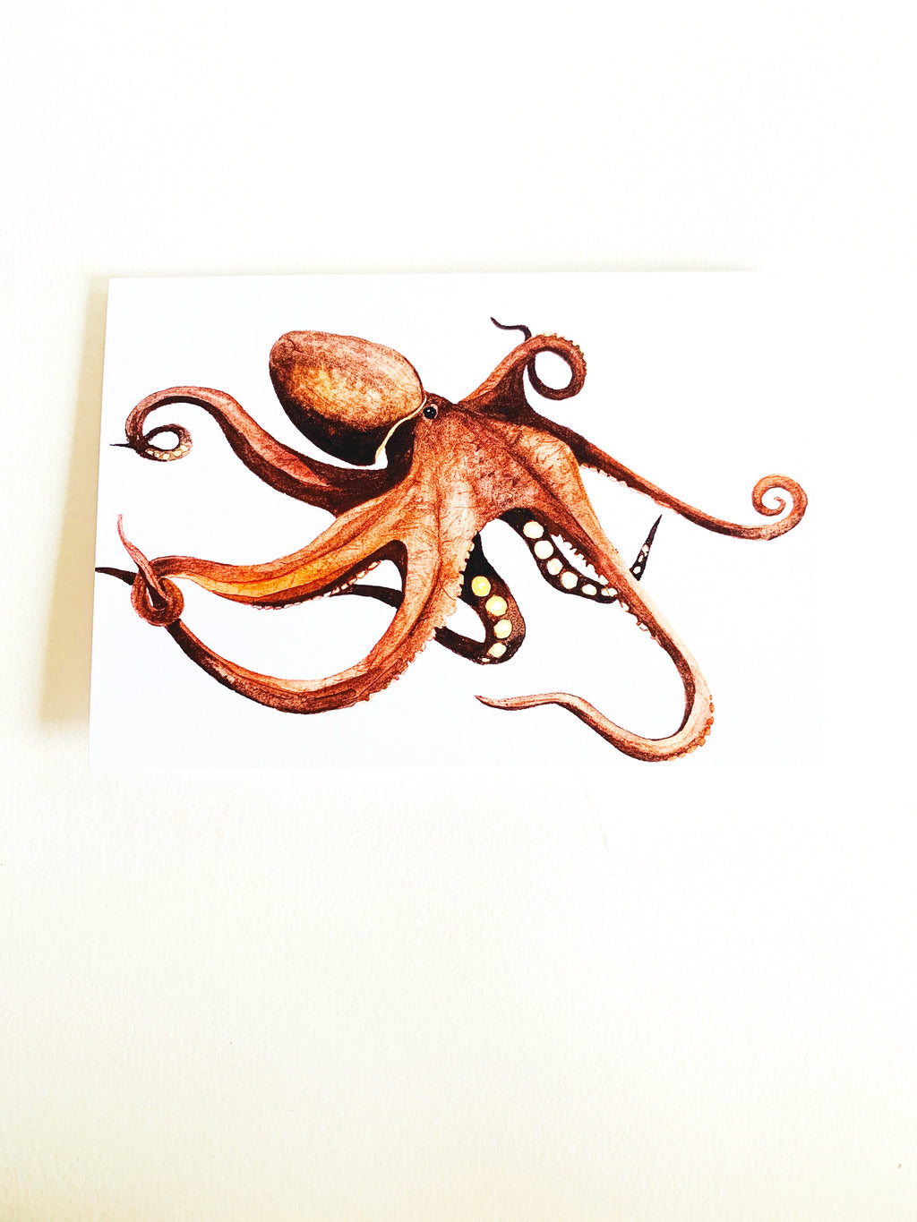 Octopus Notecard