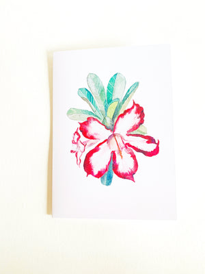 Desert Rose Notecard