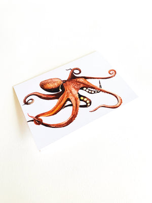 Octopus Notecard