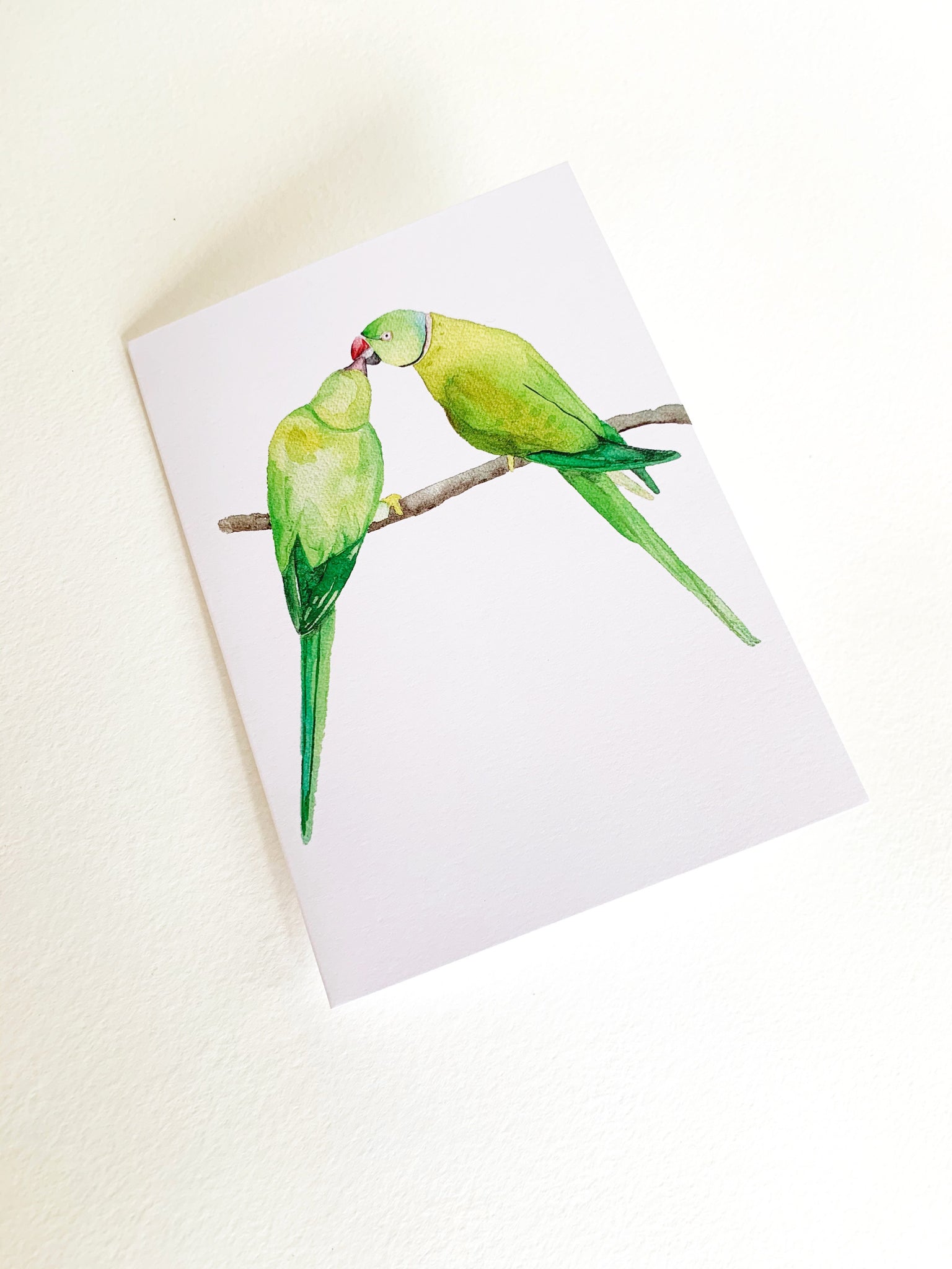 Ring Neck Parakeet Notecard