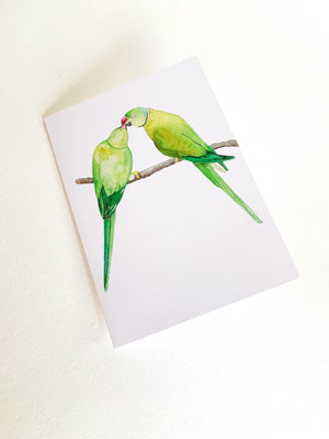 Ring Neck Parakeet Notecard