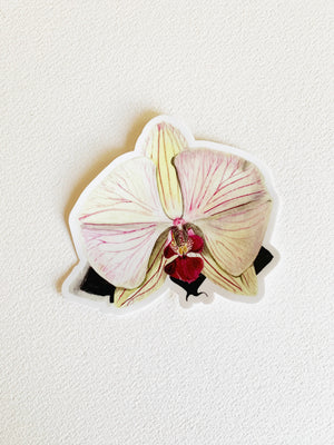 Orchid  sticker