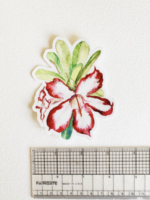 Desert Rose Sticker