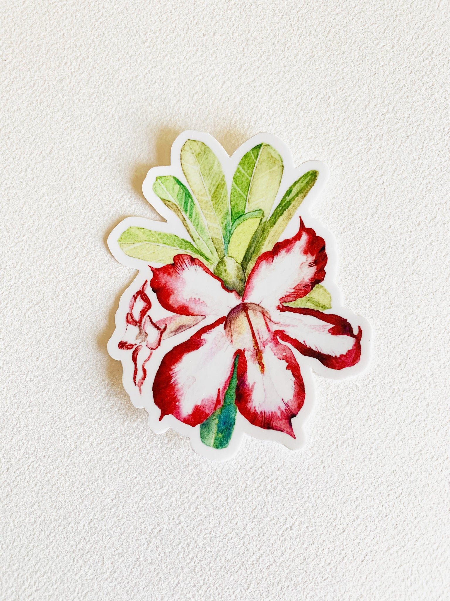 Desert Rose Sticker