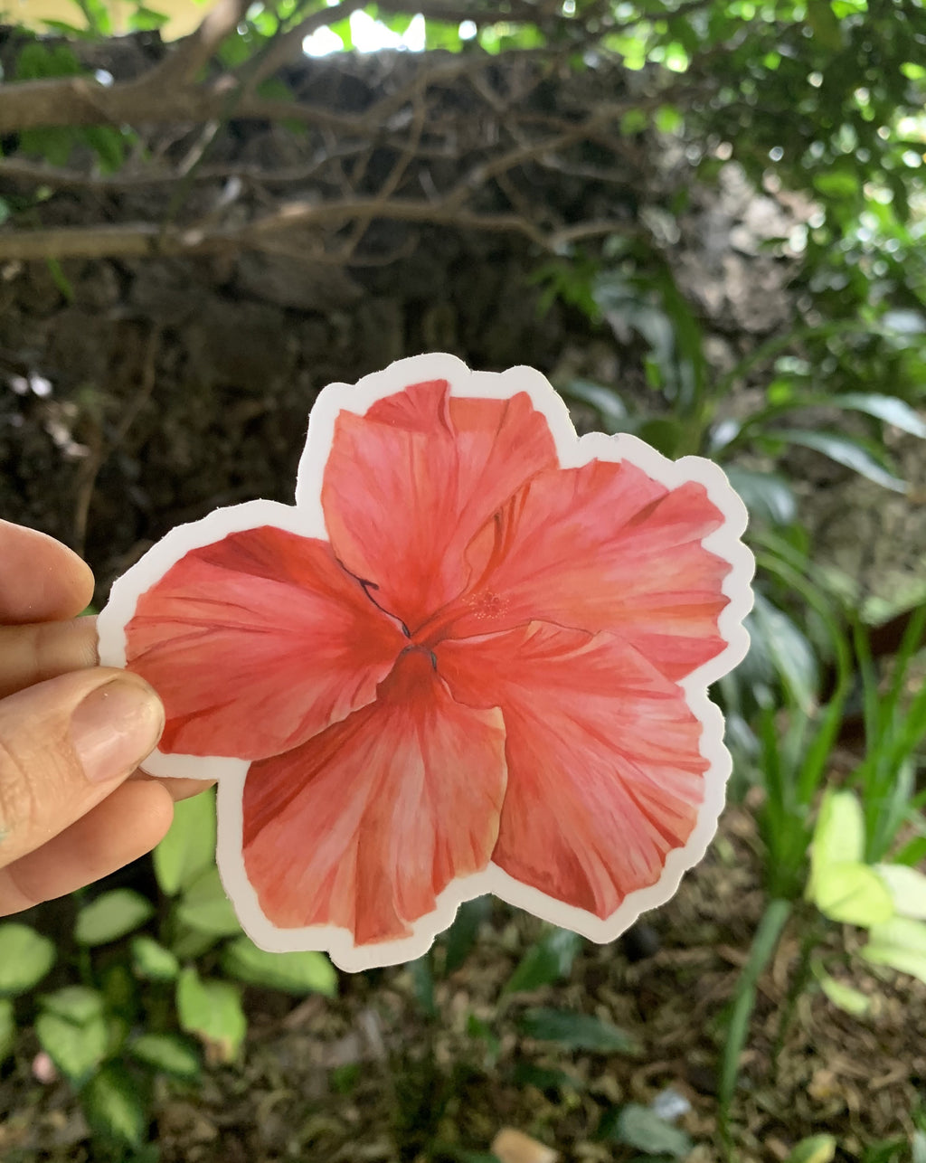 Pink Hibiscus Sticker