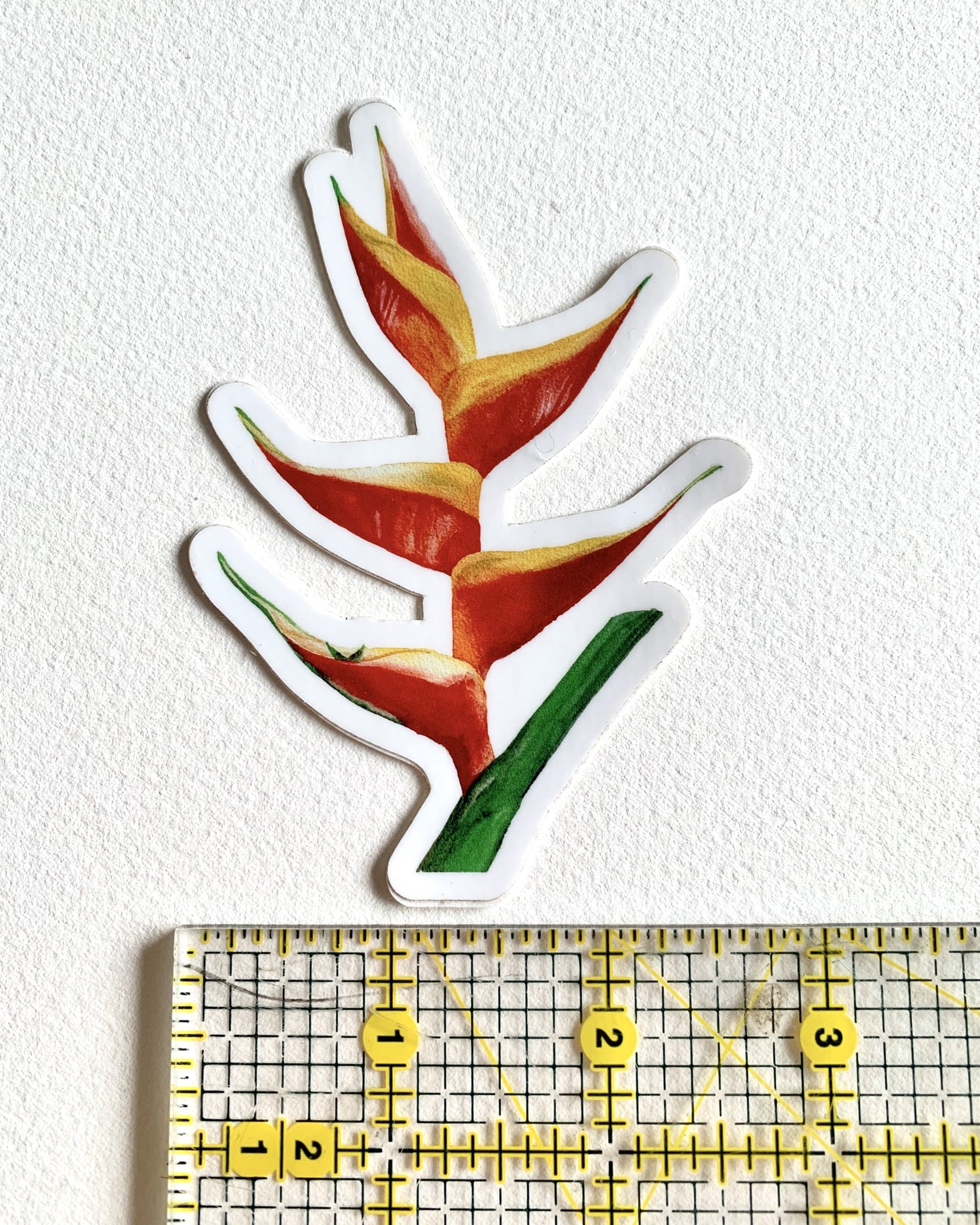 Heliconia Sticker