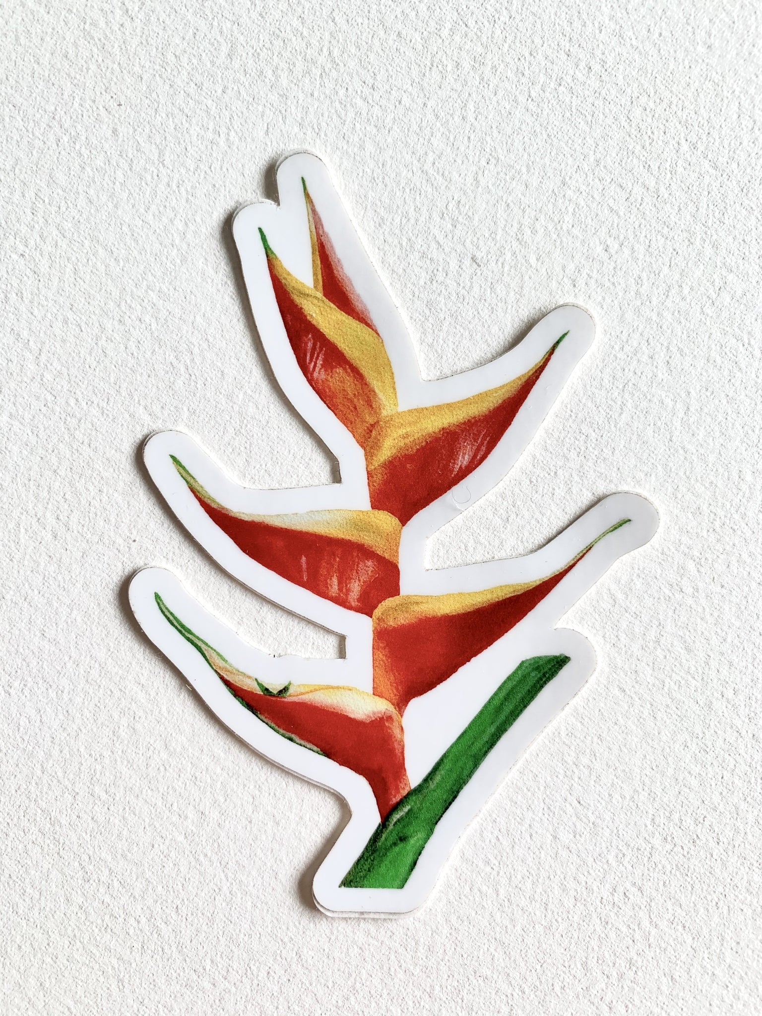 Heliconia Sticker
