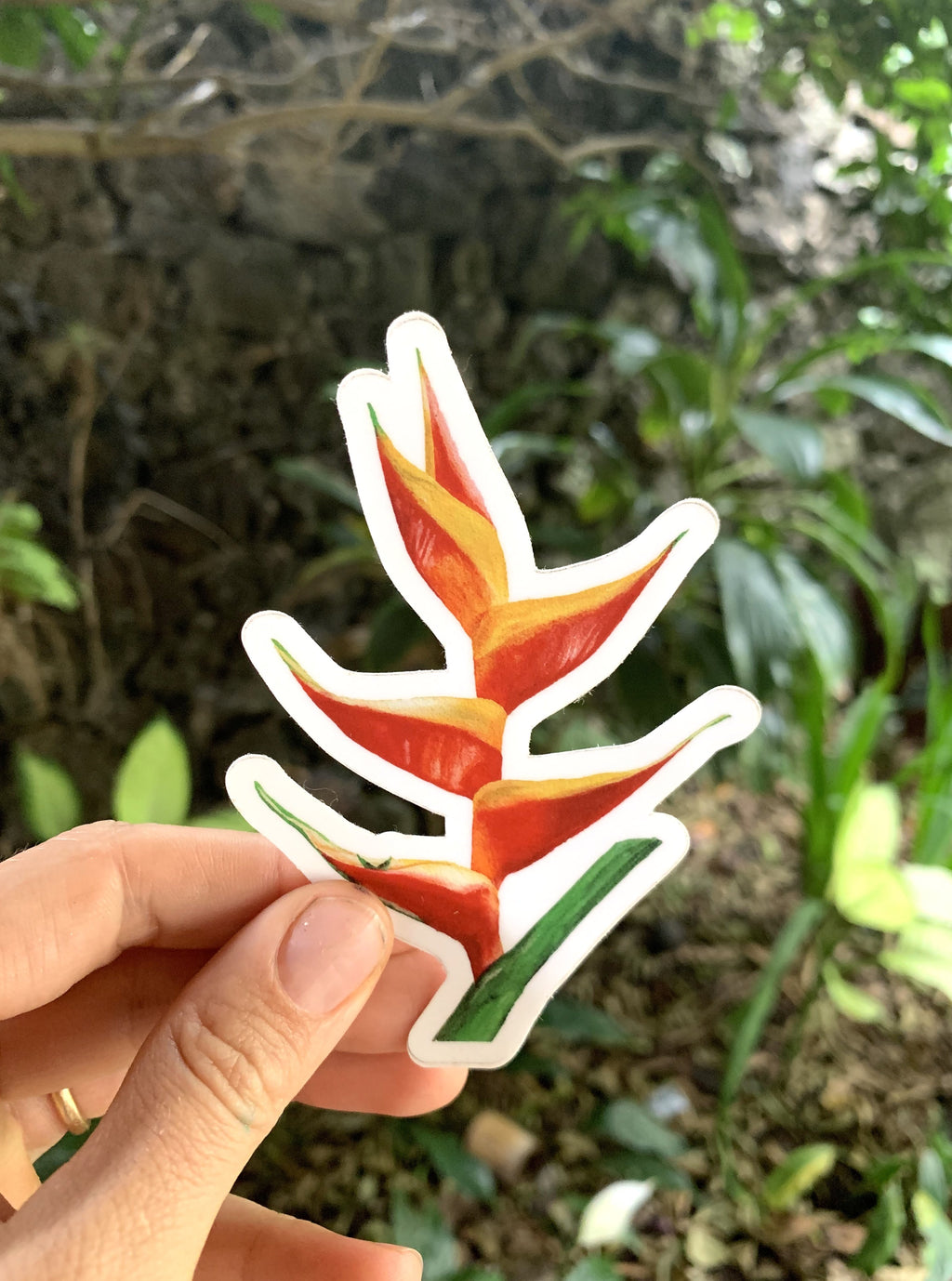 Heliconia Sticker