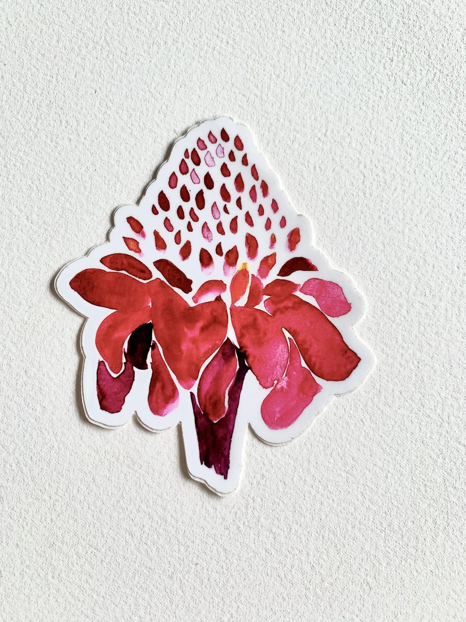 Torch Ginger Sticker