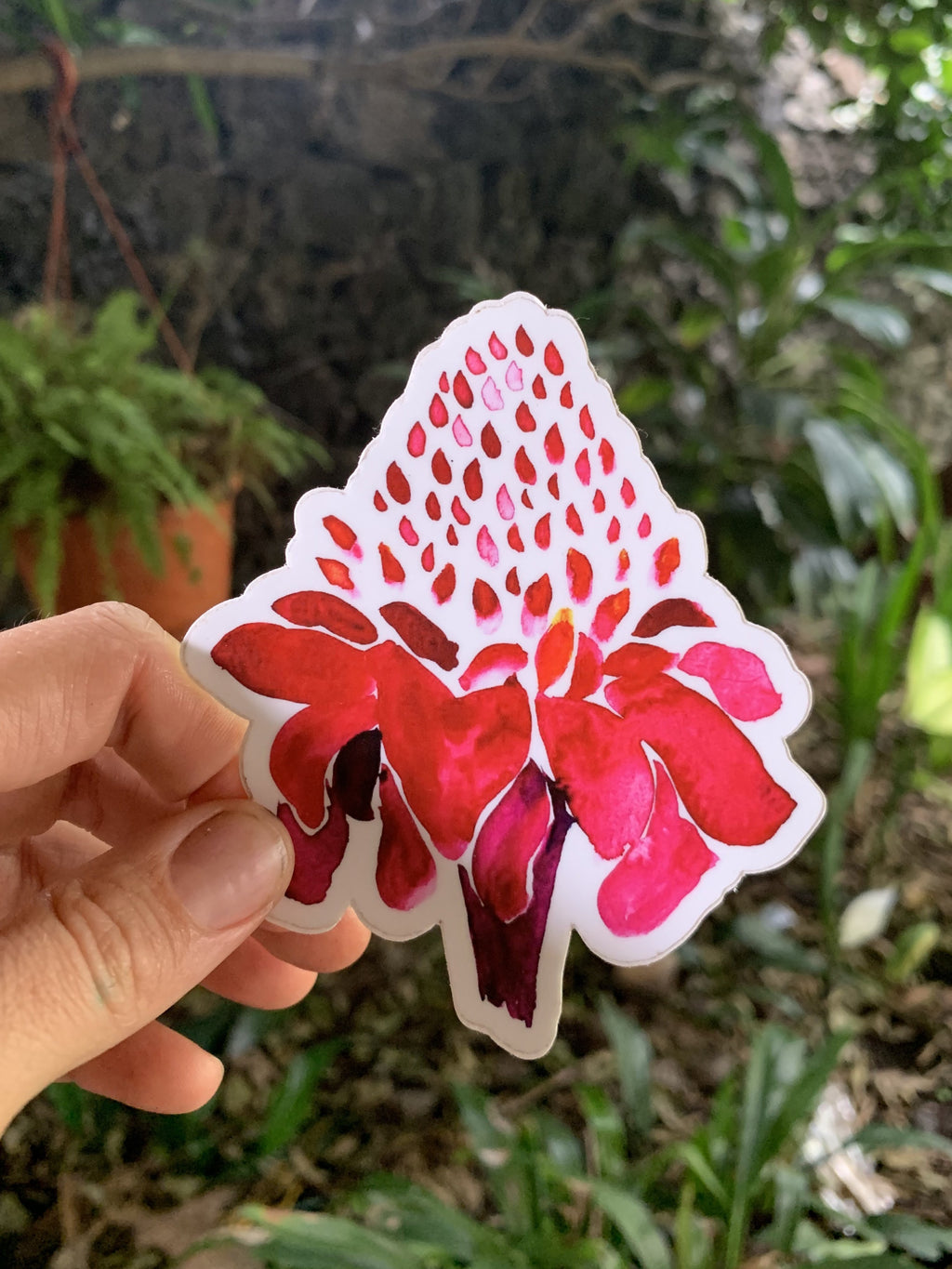 Torch Ginger Sticker