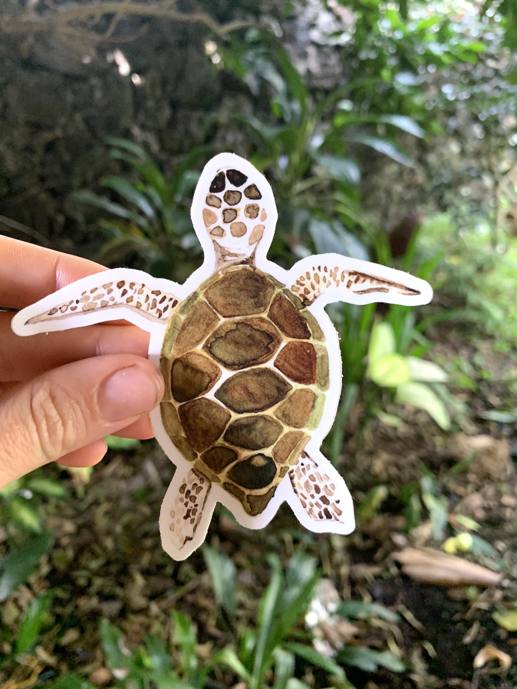 Honu Sticker