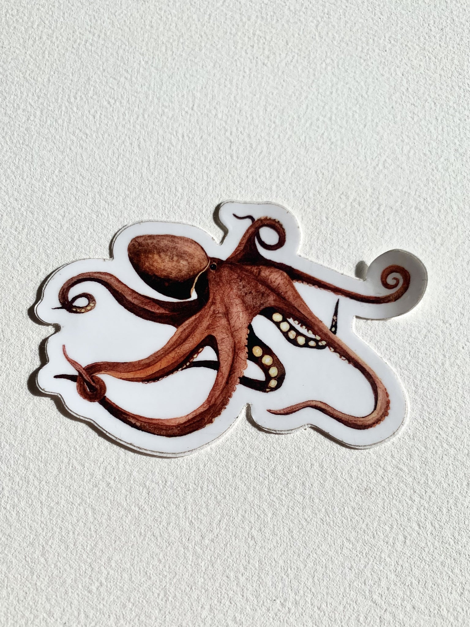 Octopus Sticker