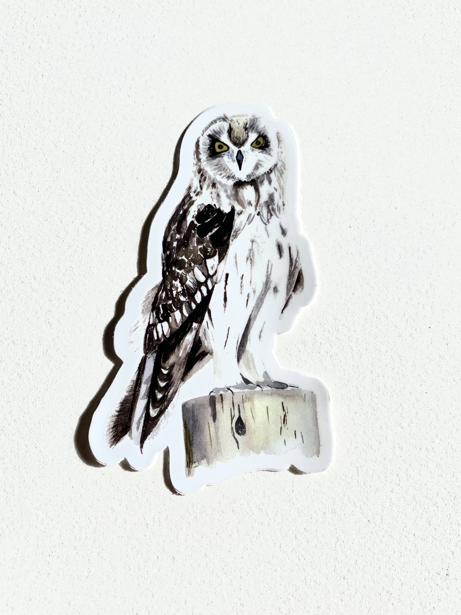 Pueo Sticker