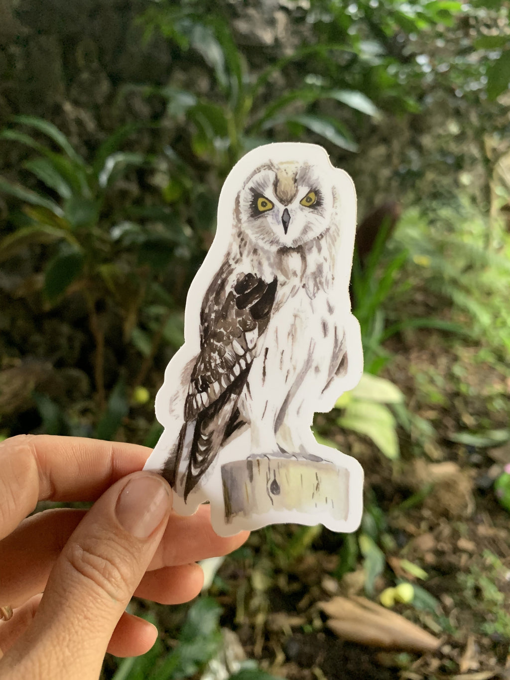 Pueo Sticker
