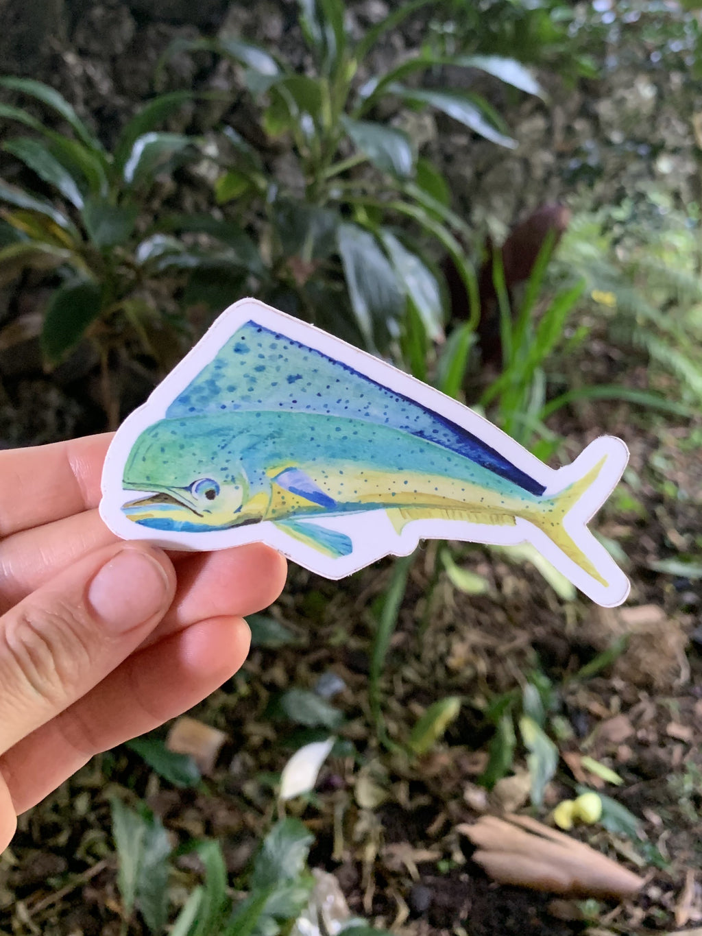 Mahi Mahi Sticker