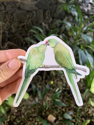 Ring Neck Parakeet Sticker