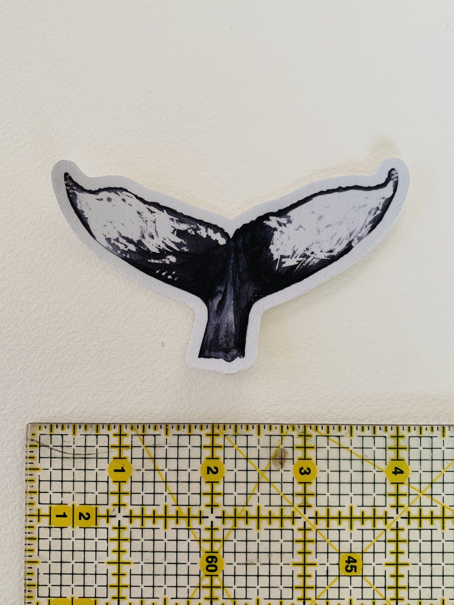 Whale Tail Sticker