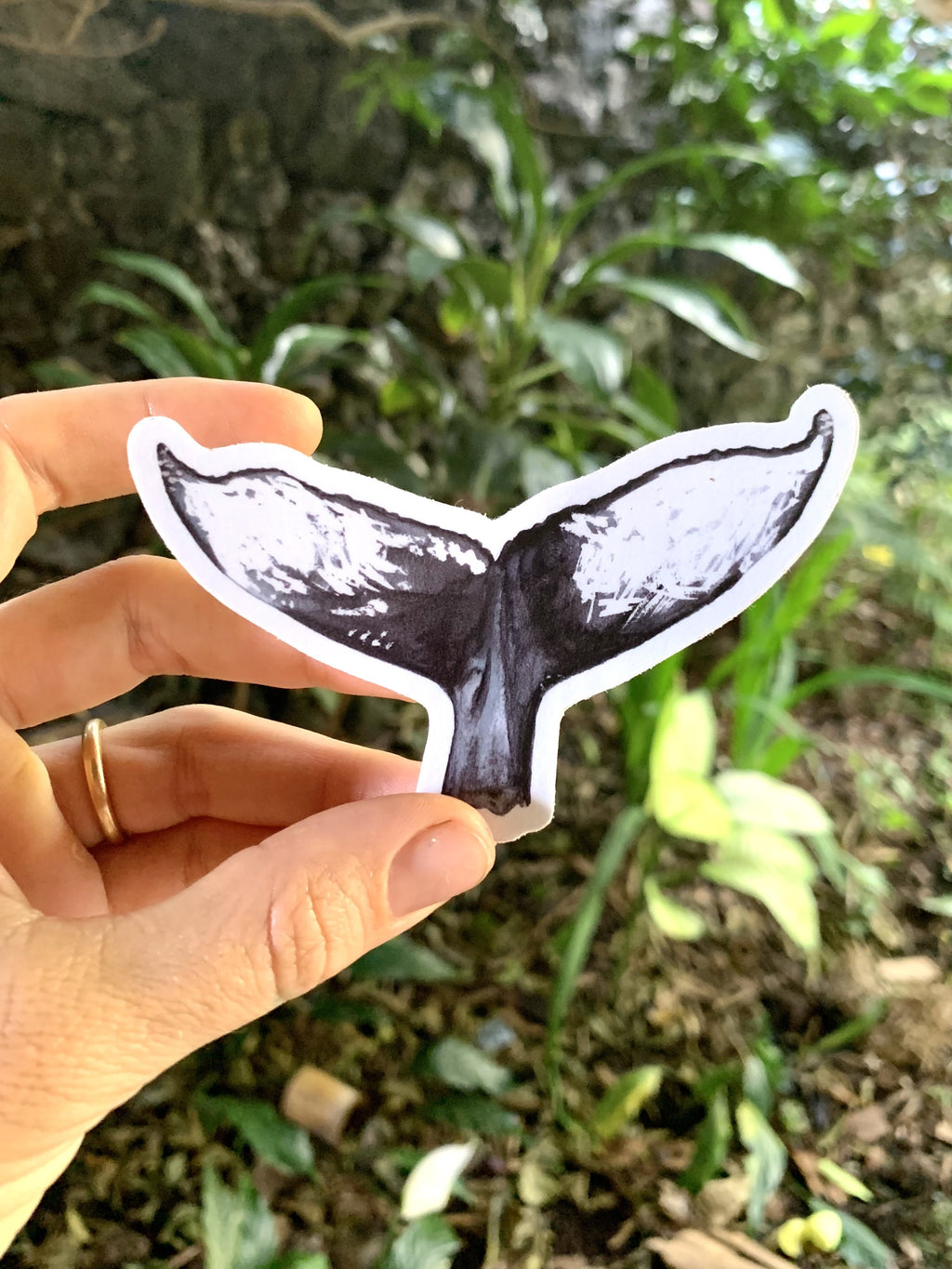 Whale Tail Sticker