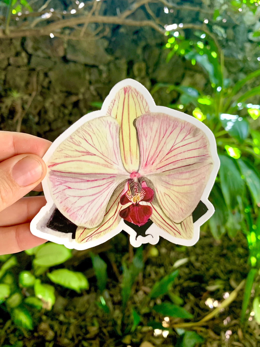 Orchid  sticker