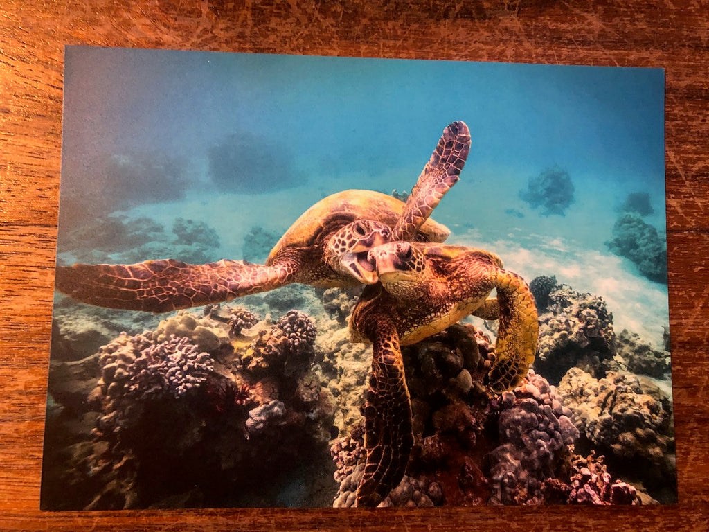 Photo Magnet