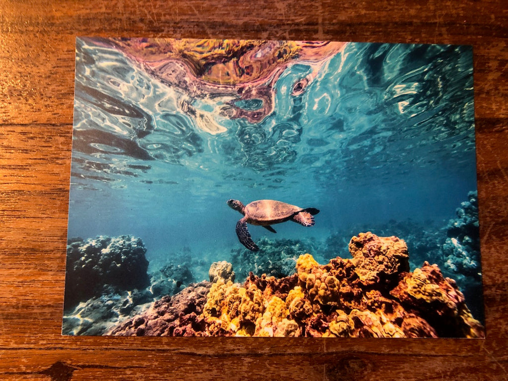 Photo Magnet