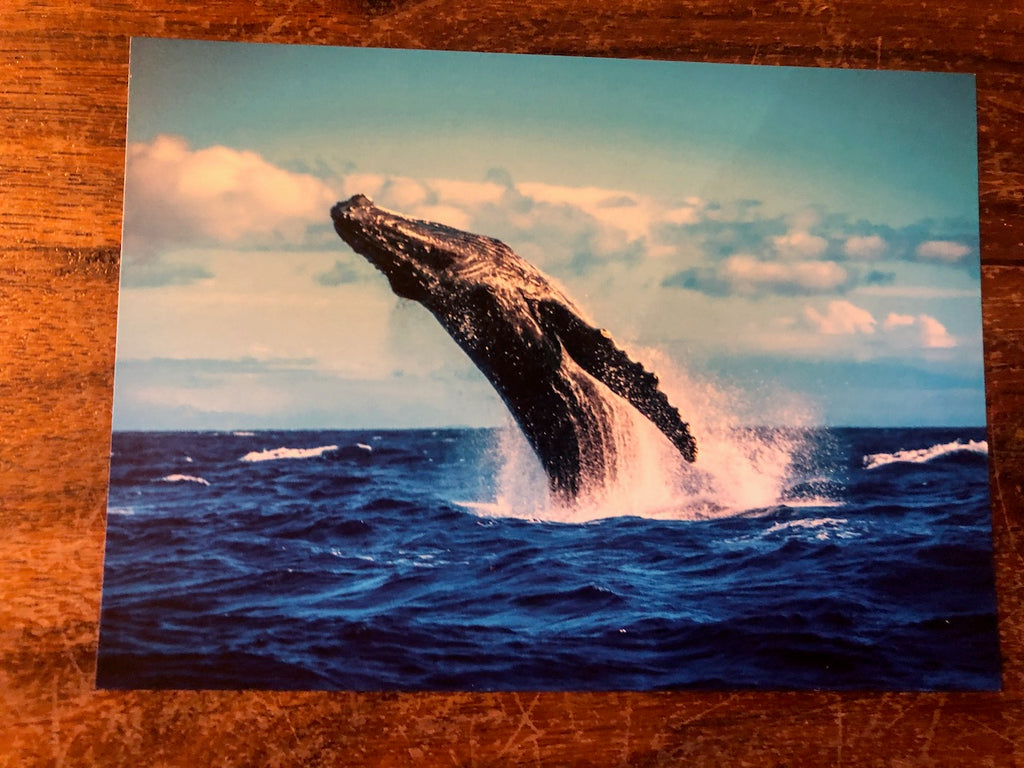 Photo Magnet