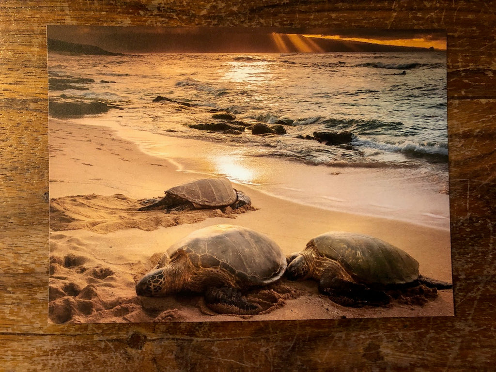 Photo Magnet