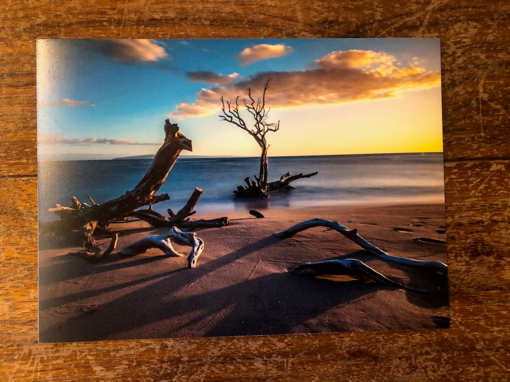 Photo Magnet