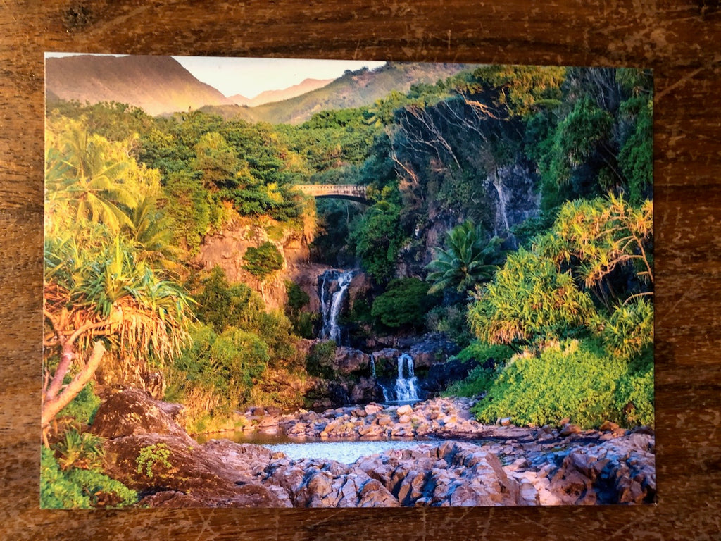 Photo Magnet