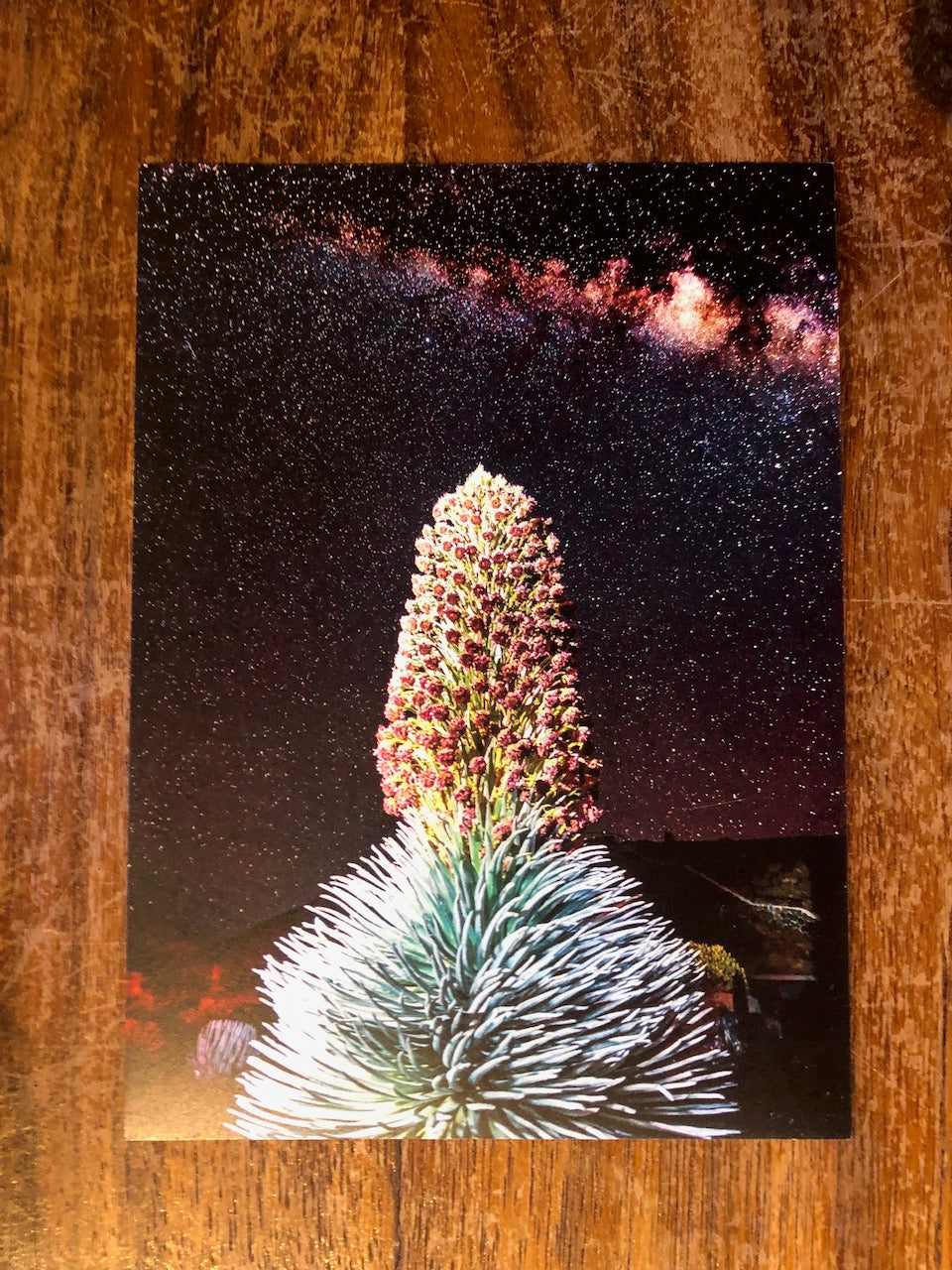 Photo Magnet