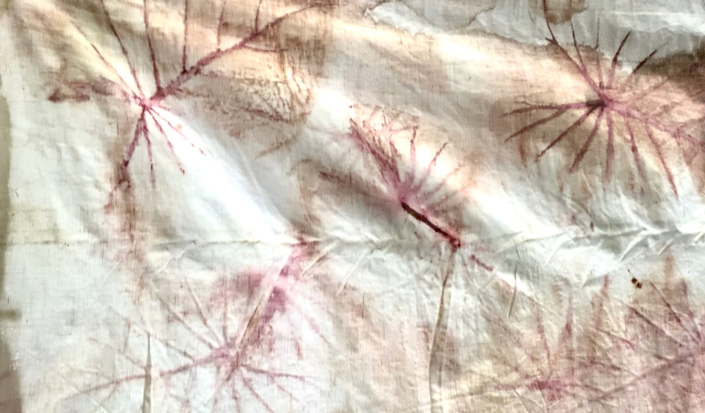 Eco printing with Taro leaf 8/5 5-7